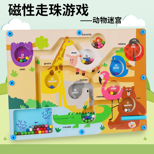 Magnetic Learning Maze Fun